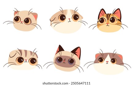 A set of flat vector illustrations in children's style. Cute faces of kittens, Siamese Scottish Persian