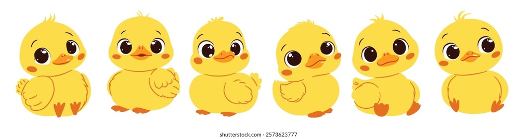 A set of flat vector illustrations in cute childish style. Cute ducklings in different poses with big cute eyes