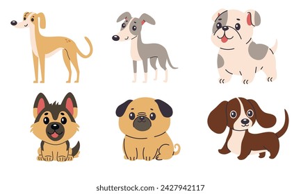 Set of flat vector illustrations of dogs of different breeds. Greyhound, chihuahua, French bulldog, pug, German shepherd, dachshund