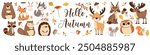 Set of flat vector illustrations. Forest animals, bear mouse hare elk deer hedgehog fox squirrel raccoon beaver lynx owl mushrooms, fall leaves. Lettering Hello, autumn