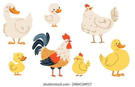 Set of flat vector illustrations on white background. Domestic birds with their children. Goose duck hen and rooster duckling chick chicken