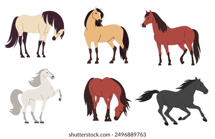 Set of flat vector illustrations on white background. Horses of different colors and breeds 