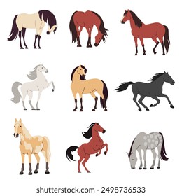 Conjunto de Ilustraciones vectoriales planas sobre fondo blanco. Caballos de diferentes colores y razas 