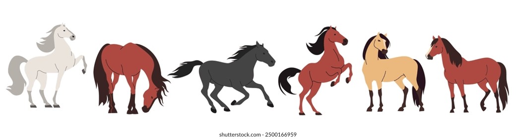 Set of flat vector illustrations on white background. Horses of different colors and breeds 