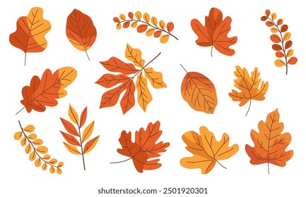 Set of flat vector illustrations on white background. Different autumn leaves 