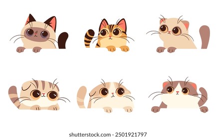 Conjunto de Ilustraciones vectoriales planas sobre fondo blanco. Los gatitos lindos con ojos grandes miran hacia fuera desde detrás del Anuncio blanco. 