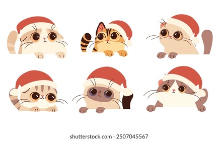 Set of flat vector illustrations on white background. Cute kittens with big eyesin a Santa Claus hat  look out from behind white banner. 