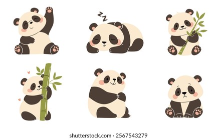 A set of flat vector illustrations in a simple children's style. Cute pandas in different poses. Sleeping, with bamboo, funny and sad on a white background 