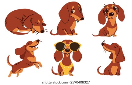 A set of flat vector illustrations in a simple children's style. Cute dachshunds in different poses. Happy dogs sleeping and playing