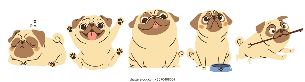 A set of flat vector illustrations in a simple children's style. Cute funny dogs of pug breed in different poses on white background 