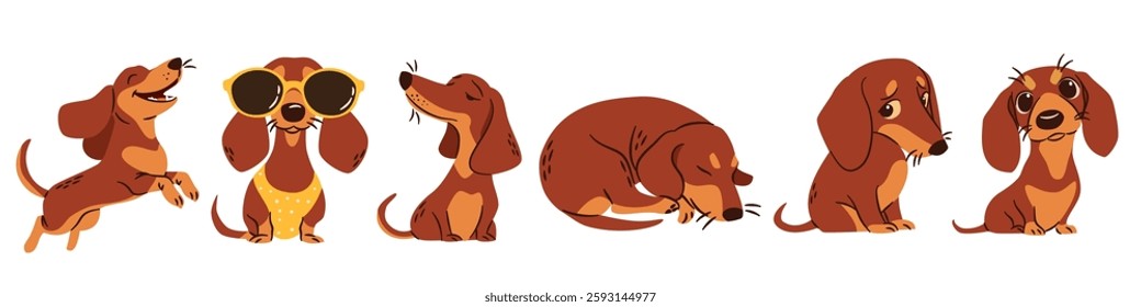 A set of flat vector illustrations in a simple children's style. Cute dachshunds in different poses. Happy dogs sleeping and playing