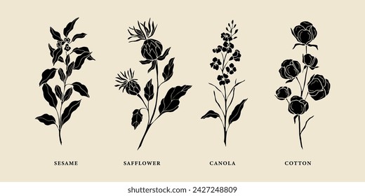 Set of flat vector sesame, safflower, canola, cotton