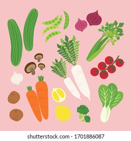 Set flatlay vegetable vector illustration. Bundle vegetable. Fresh Farm product. Fresh vegetable
