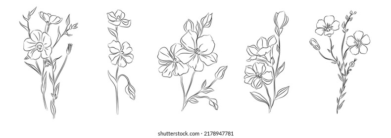 Set of Flax flower line art vector illustrations. Modern hand drawn minimalist black ink sketch isolated on white background. Trendy design for jewelry, tattoo, wall art, wallpaper, etc.