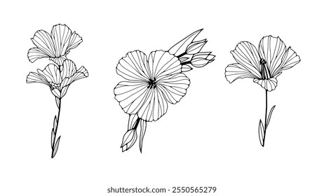 Conjunto de flores de linho desenhos de arte de linha. Linha editável. Arte monocromática em preto e branco. Esboço em estilo de tinta moderna. Ilustrações vetoriais.