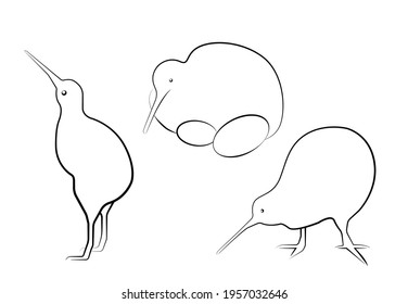 Set of flightless kiwi line art. Endemic  endangered birdie of New Zealand. The smallest ratite with long beak and brown feathers. Outline bird in three angles -standing, searching and nesting.