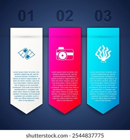 Set Flippers for swimming, Photo camera diver and Coral. Business infographic template. Vector