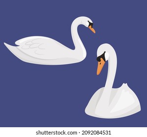 Set of floating white swans isolated. Vector cartoon illustration of river or pond birds.