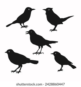 Set of a flock of flying different birds silhouettes Collection of different cartoon black birds on white background. Vector illustration.