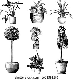 set of floor colors for interior, sketch vector graphics monochrome illustration on white background