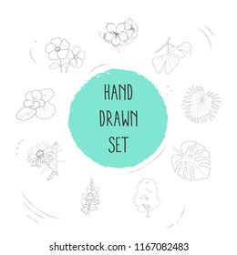 Set of flora icons line style symbols with aster, tropical leaf, elm tree and other icons for your web mobile app logo design.