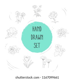 Set of flora icons line style symbols with chamomile, calendula, clove and other icons for your web mobile app logo design.