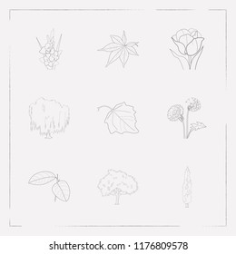 Set of flora icons line style symbols with dandelion, natural, garden icons for your web mobile app logo design.