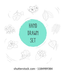 Set of flora icons line style symbols with peony, oak leaf, aspen and other icons for your web mobile app logo design.