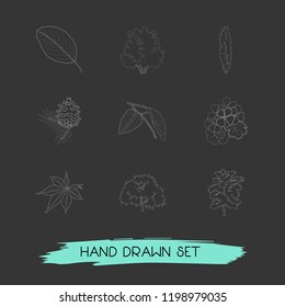 Set of flora icons line style symbols with poplar, japans leaf, apple leaf and other icons for your web mobile app logo design.