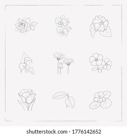Set of flora icons line style symbols with orchids, natural, calendula and other icons for your web mobile app logo design.