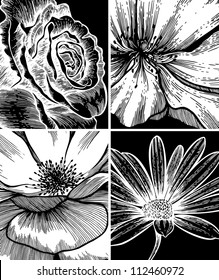 Set of floral backgrounds; hand drawing. Vector illustration.