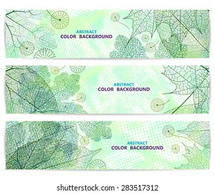 Set of floral banners or backgrounds with green leaves. Abstract vector illustration, EPS10
