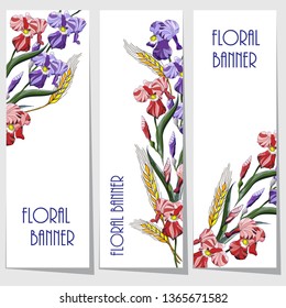 Set floral banners, frame bouquet flowers with red. violet irises and gold  spikelets, isolated on white backgrouind  Floral greeting card and invitation of the wedding, birthday vector illustration