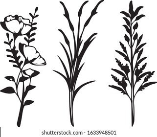 set floral botanic vector black pattern