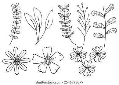 Set of Floral Botanical. flower ,twigs and leaves drawings. Black and white with line art on white background.Vector illustration