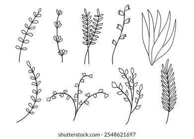 Set of Floral Botanical. flower ,twigs and leaves drawings. Black and white with line art on white background.Vector illustration