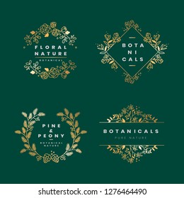 Set of floral botanical frame vectors
