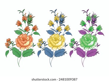 Set floral botanical in three color variation. Vector illustration isolated on white background.