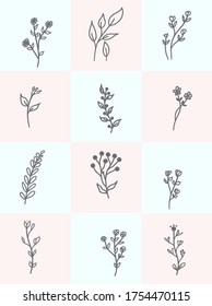 set floral botany hand draw element vector 