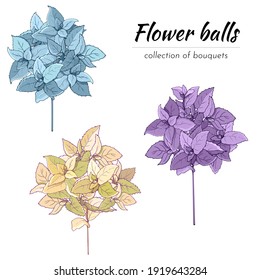 Set of floral bouquets cut on white background. Blue, purple and yellow hydrangea flowers, vector illustration.
