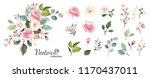 Set of floral branch. Flower pink rose, green leaves. Wedding concept with flowers. Floral poster, invite. Vector arrangements for greeting card or invitation design