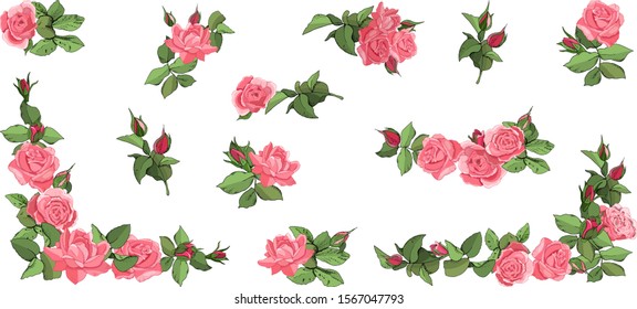 Set of floral branch. Flower pink rose, green leaves. Wedding concept. Floral poster, invite. Vector arrangements for greeting card or invitation design background. Illustration  isolated on white