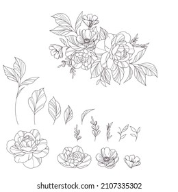 Set of floral branch. Flower pink rose, green leaves. Wedding concept with flowers. Floral poster, invite. Vector arrangements for greeting card or invitation design