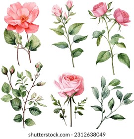 Set of floral branch. Flower pink rose, green leaves. Wedding concept with flowers.