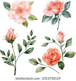 Set of floral branch. flower pink rose, green leaves. wedding concept with flower.