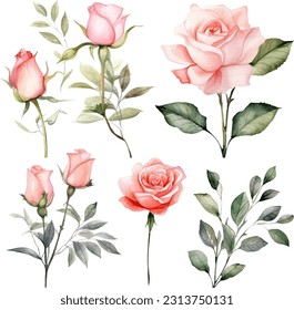 Set of floral branch. flower pink rose, green leaves. wedding concept with flower.