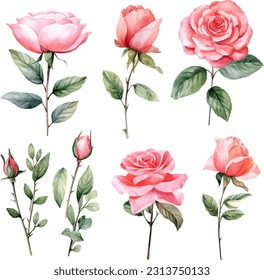 Set of floral branch. flower pink rose, green leaves. wedding concept with flower.