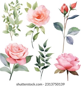 Set of floral branch. flower pink rose, green leaves. wedding concept with flower.