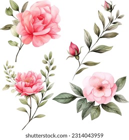 Set of floral branch. flower pink rose, green leaves. wedding concept with flower.