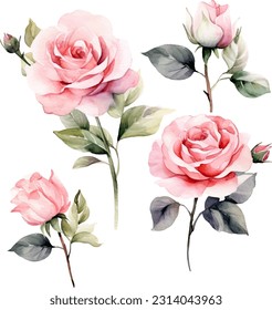 Set of floral branch. flower pink rose, green leaves. wedding concept with flower.